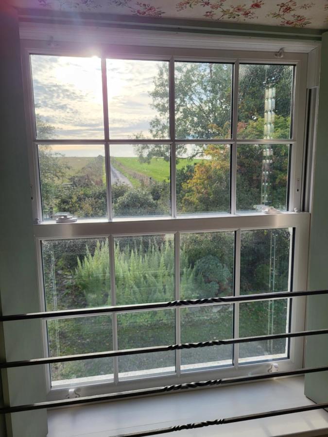 The Green Door Vegan B&B Llanon Exterior photo